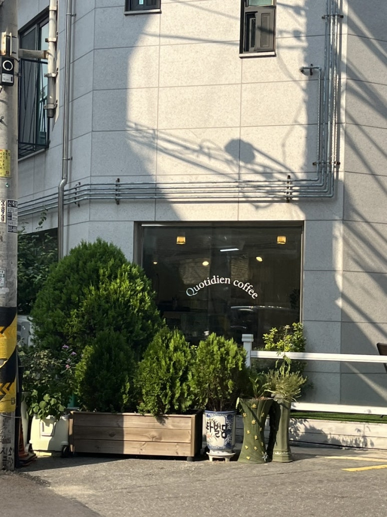 콰티디앙 이미지