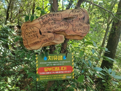 내몸愛힐링 이미지