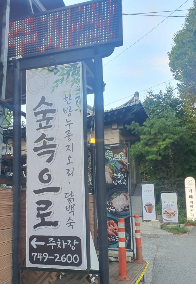 숲속의오리 이미지