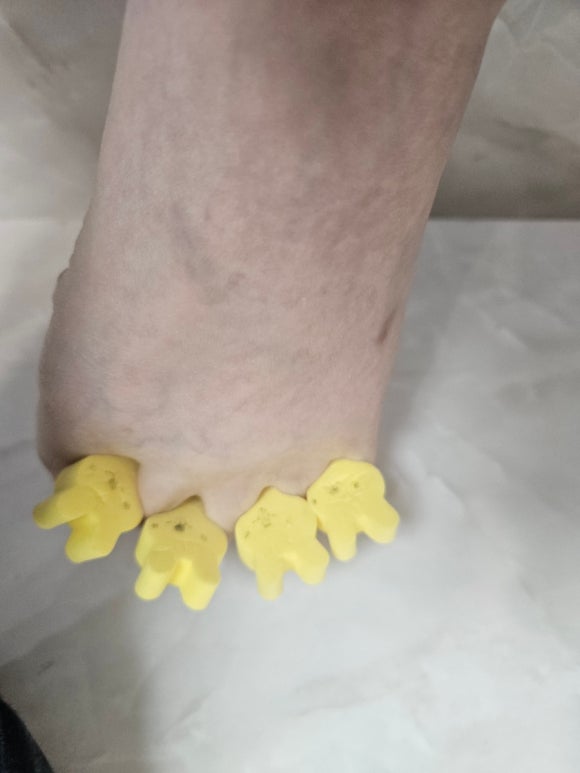 손이예쁜날 이미지