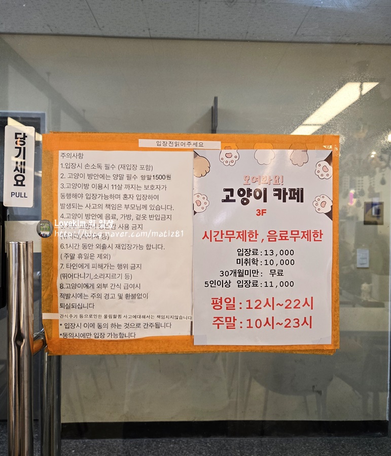 모여봐요 고양이카페 이미지