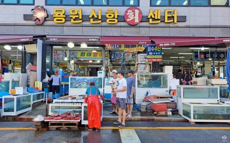용원회센타 이미지