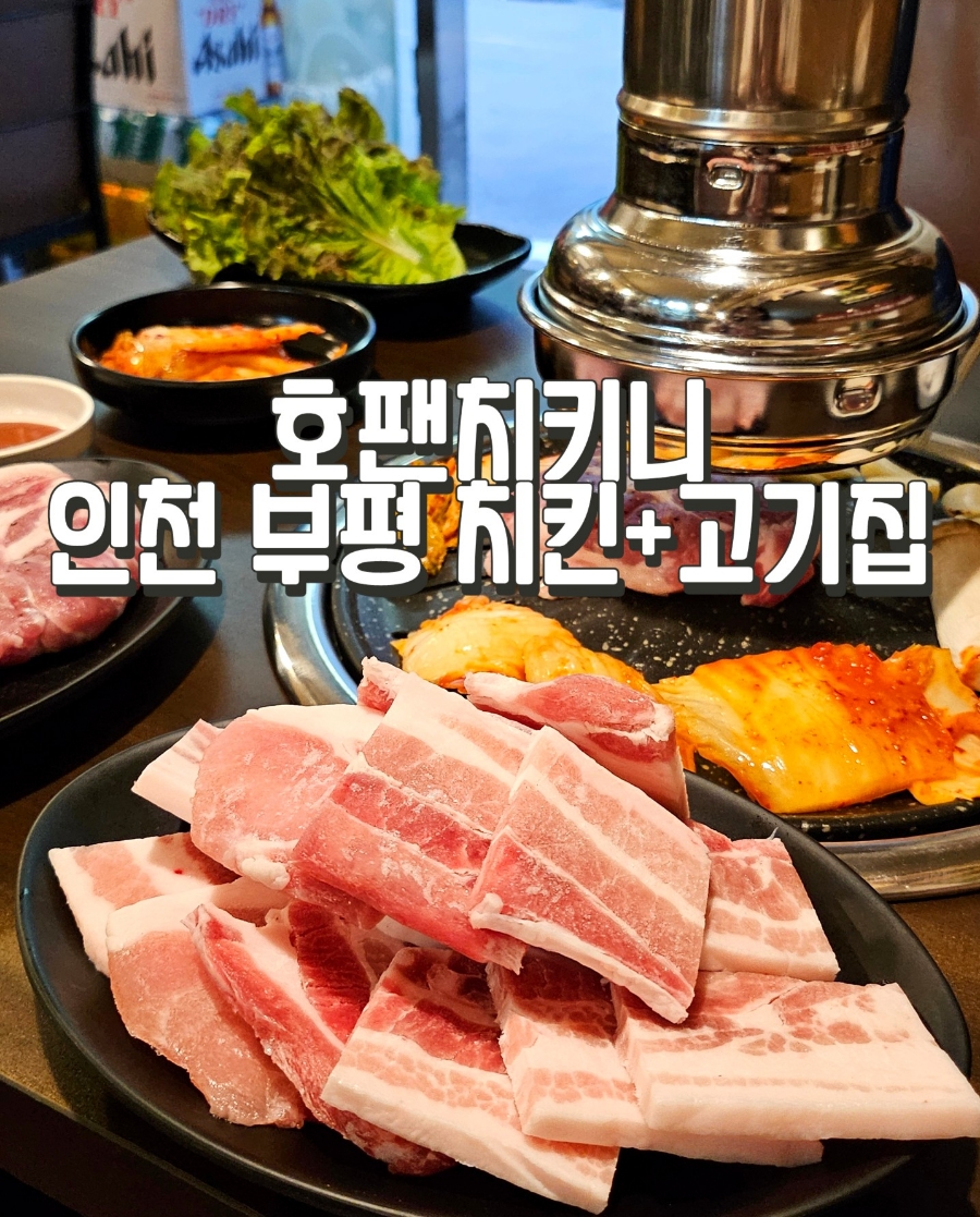 호팬치키니 이미지