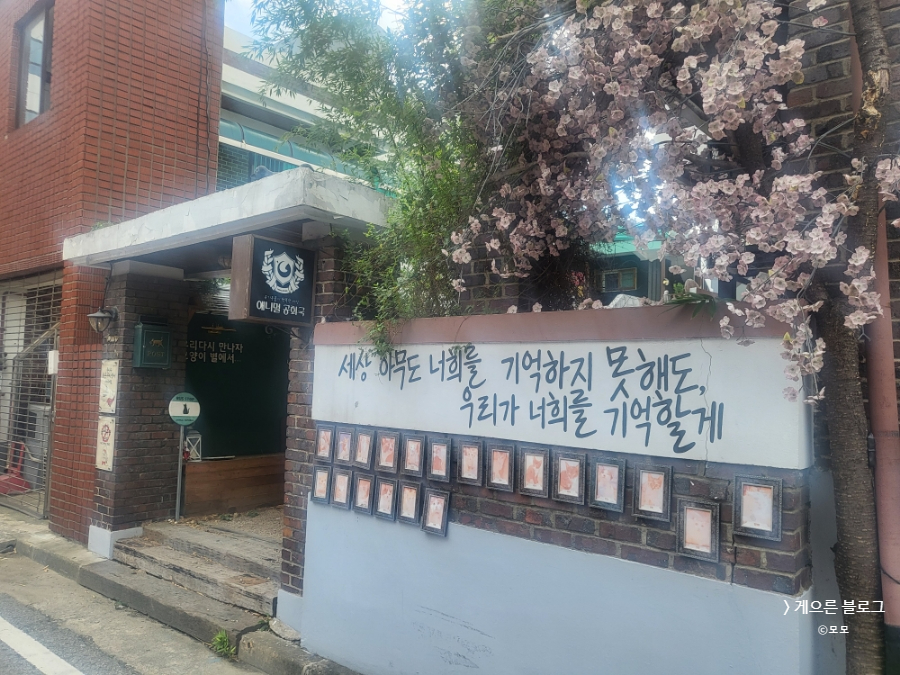 애니멀랜드 이미지