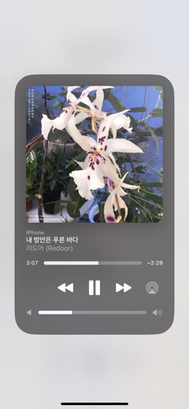 섬데이제주 이미지