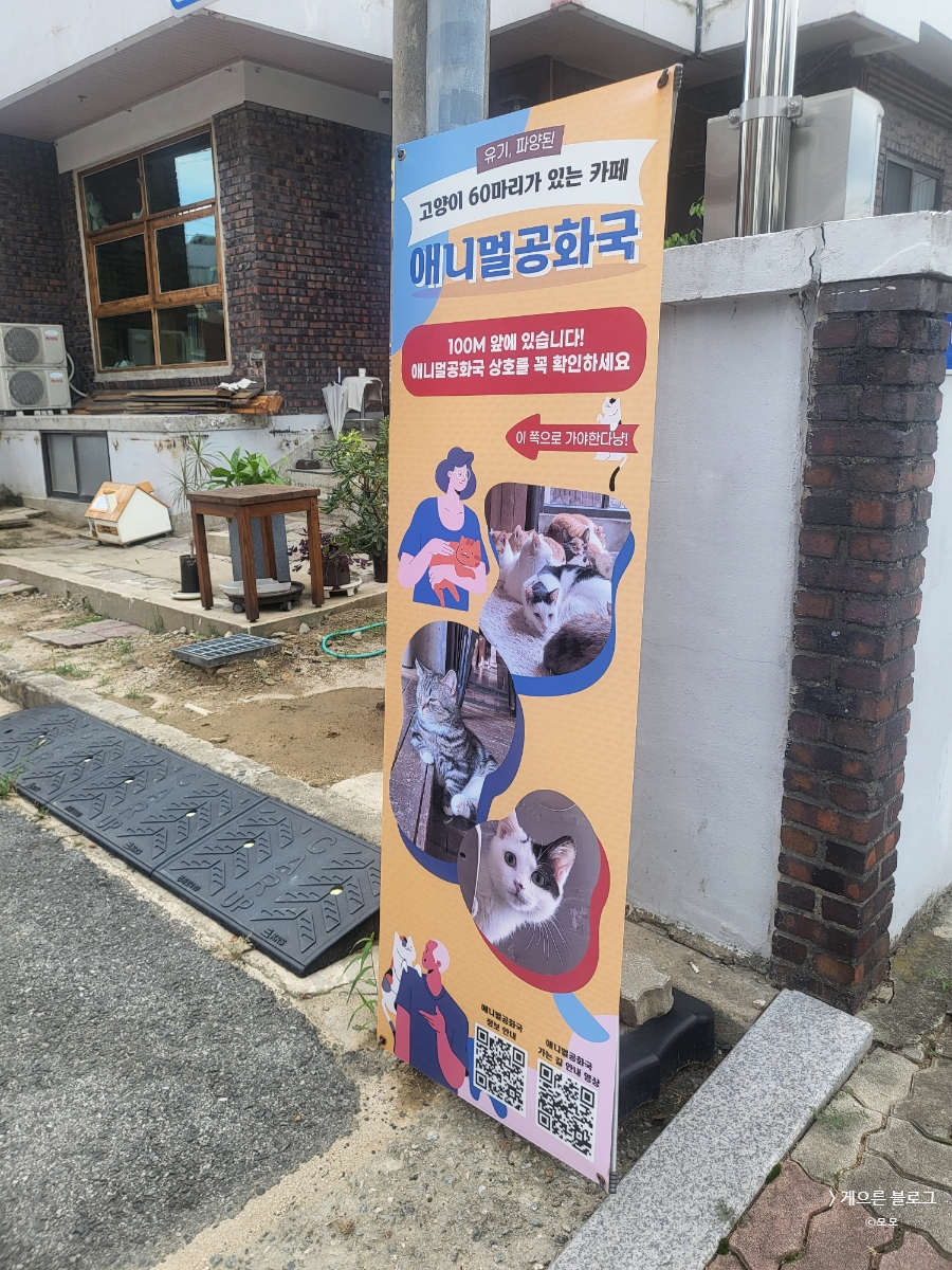 애니멀랜드 이미지