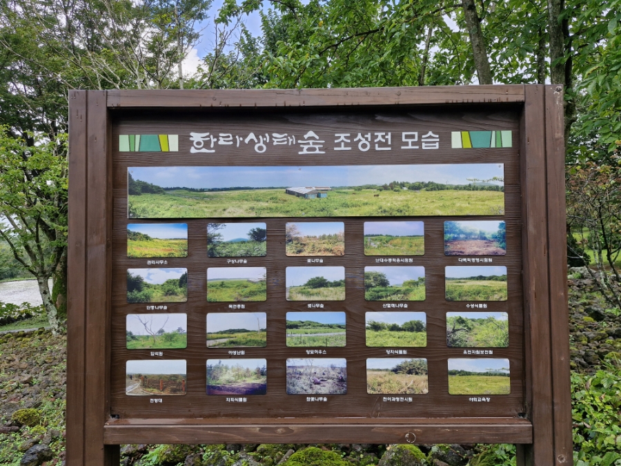 한라샘 이미지