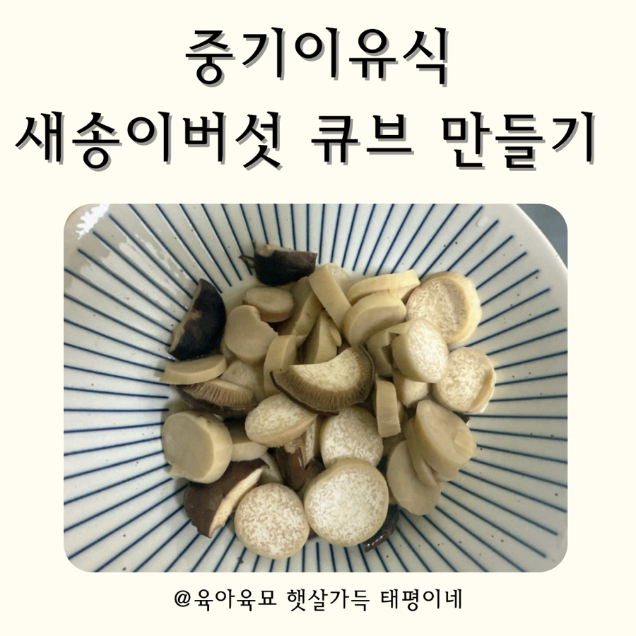 태평중기 이미지