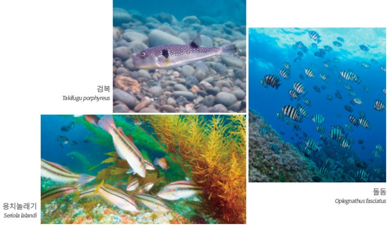 만나수산 이미지