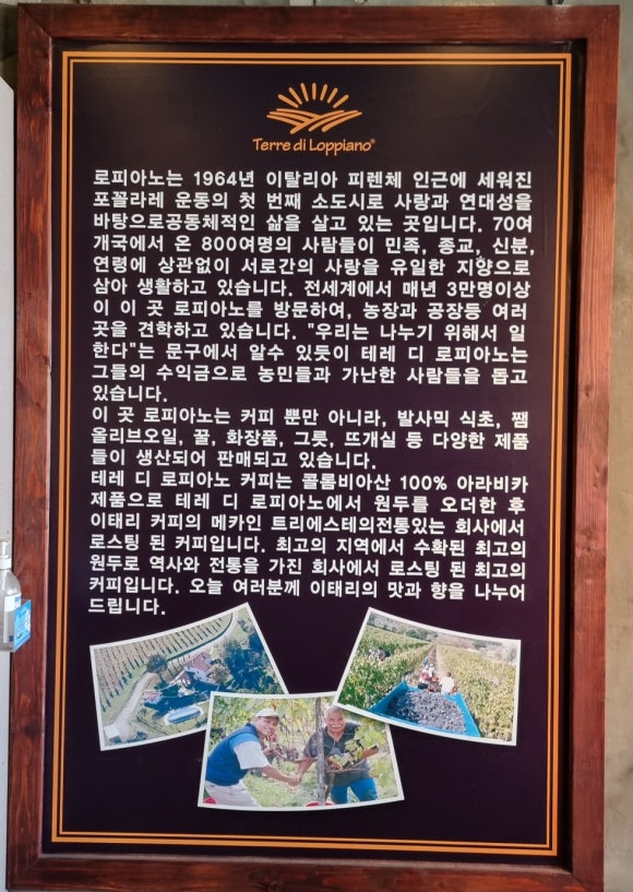 로피아노 이미지