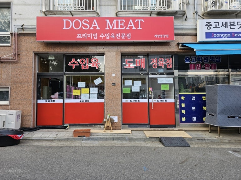 도사미트 이미지
