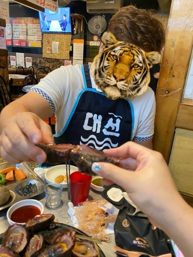 시골장터우정의집 이미지
