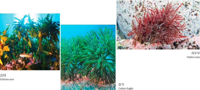 만나수산 이미지