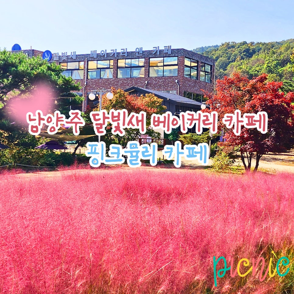 카페새로 이미지