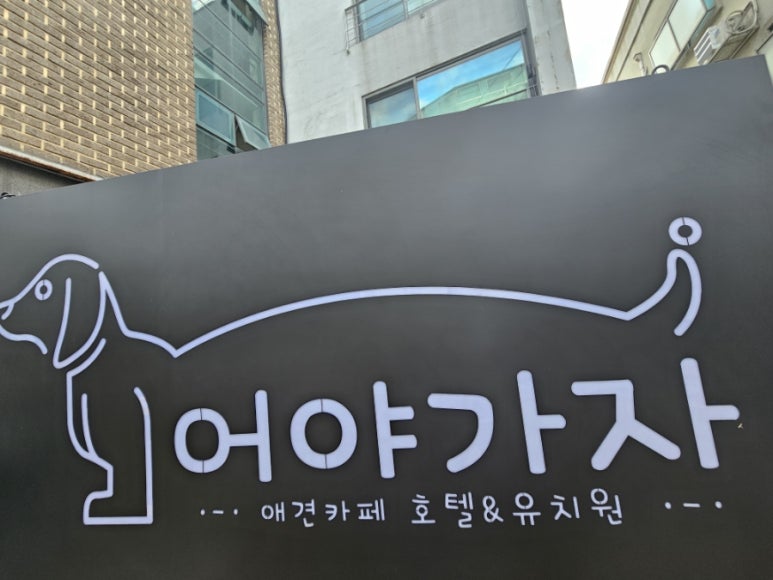 어야가자 이미지