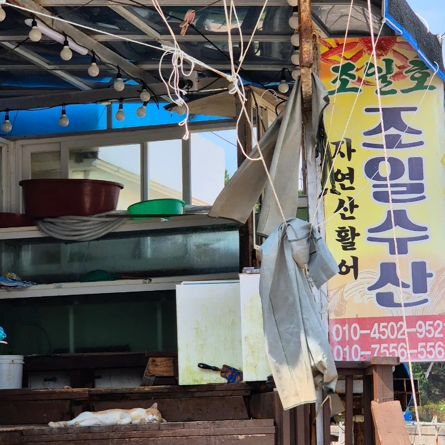 조일수산 이미지