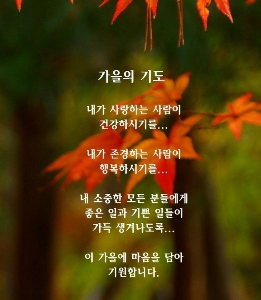 사람사는풍경 이미지