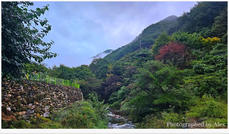 오도산황토펜션 이미지