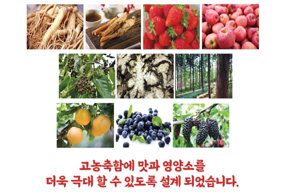 에프엘씨 이미지
