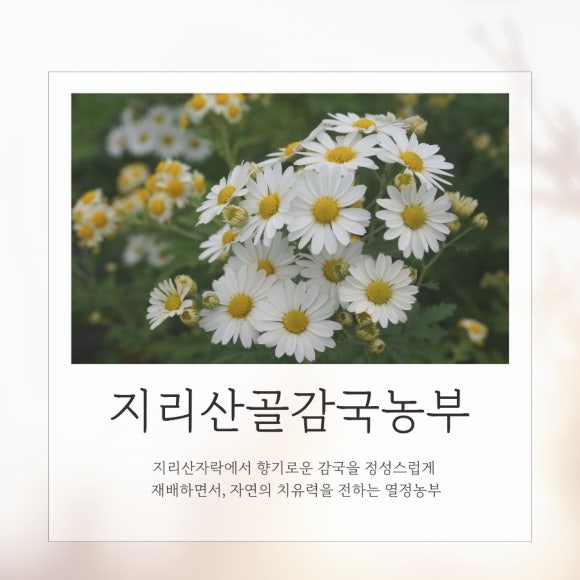 지리산골감국농부 이미지