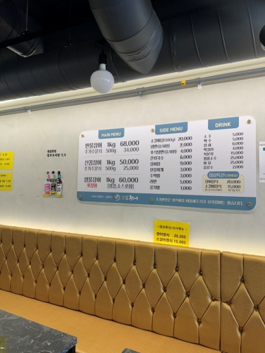 용마그집장어 이미지