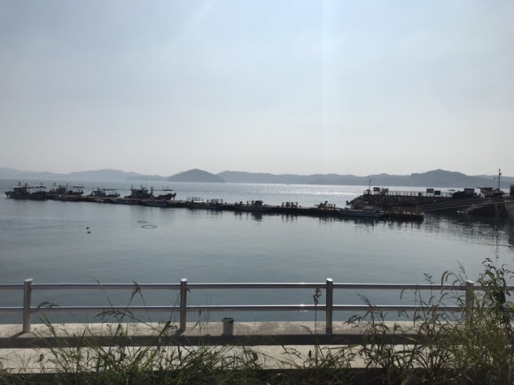 선창감태칼국수 이미지