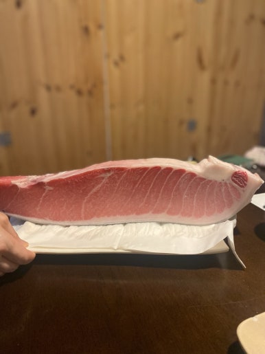 필참치 이미지