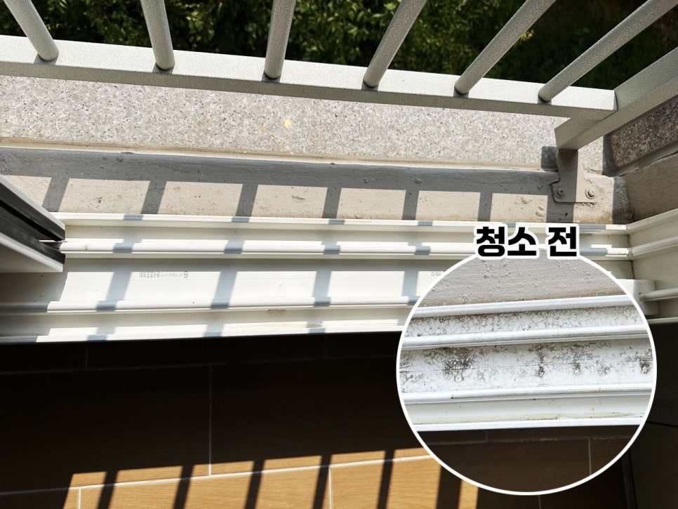 마커스클린 이미지