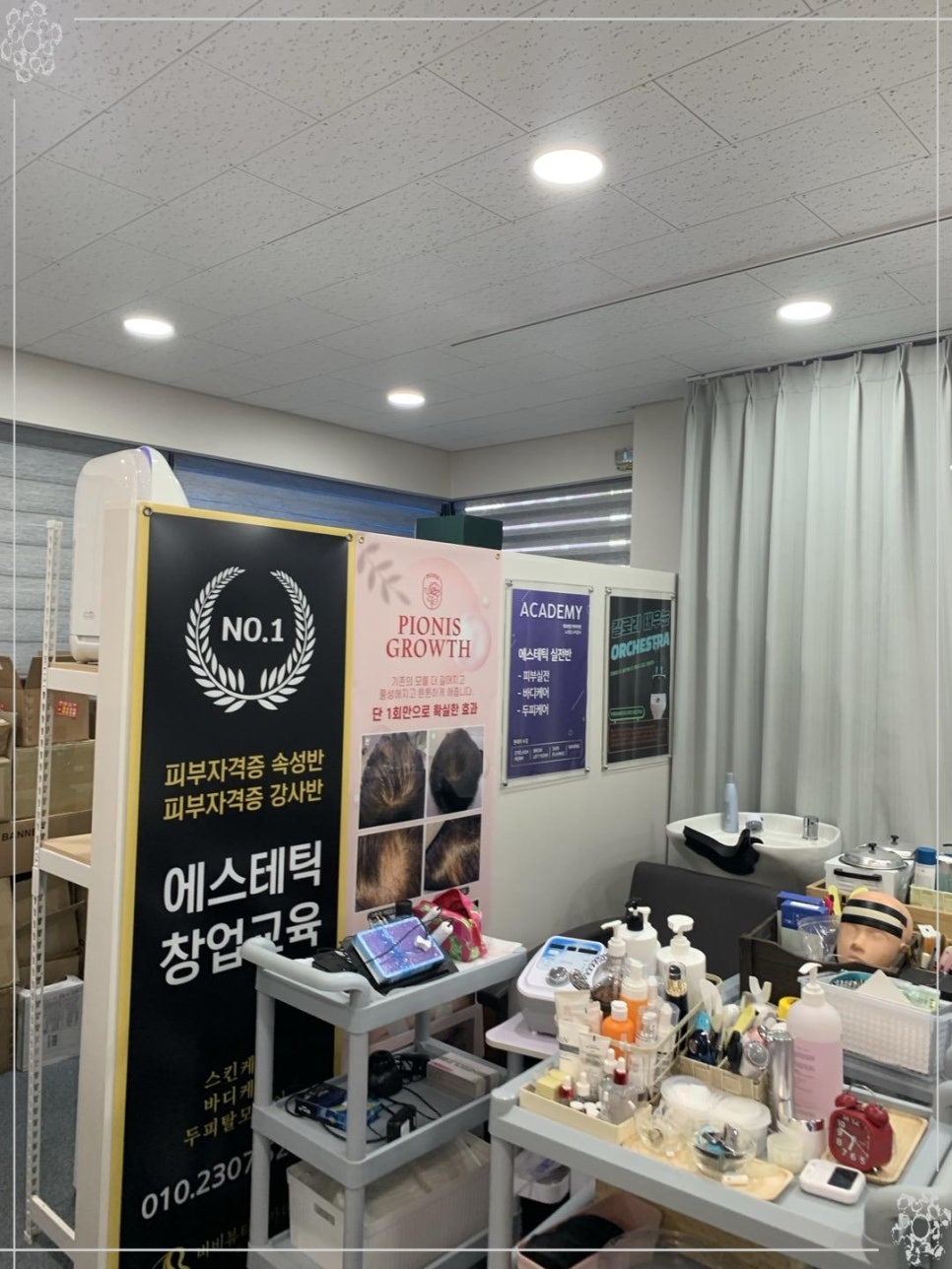 비비테라 이미지