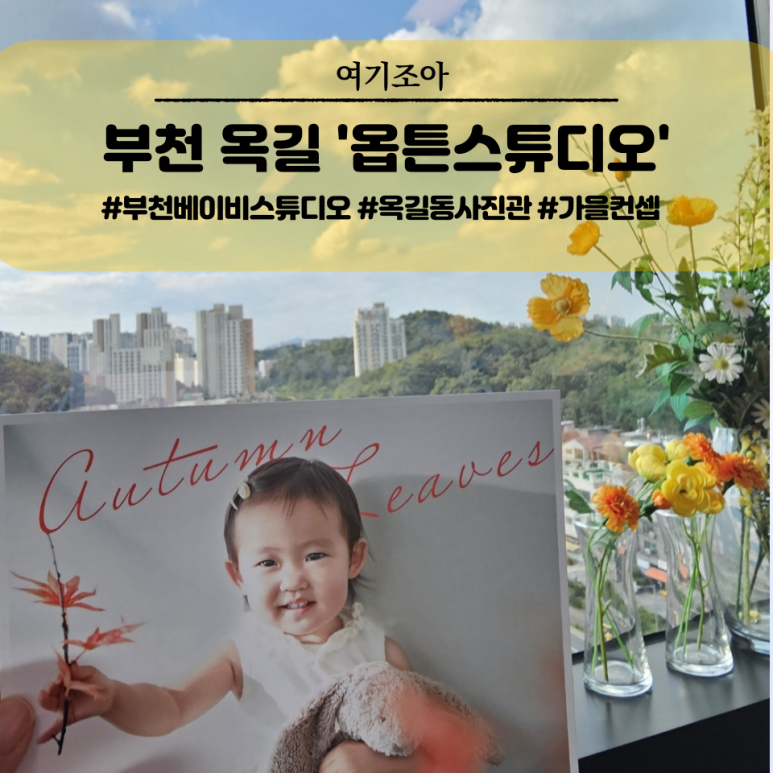 옵튼스튜디오 이미지