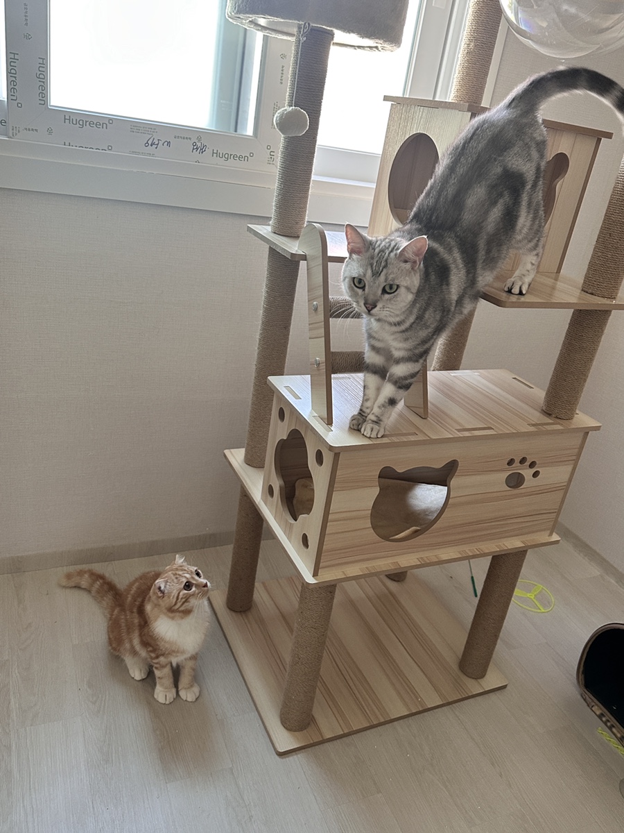 야옹이전자담배 이미지