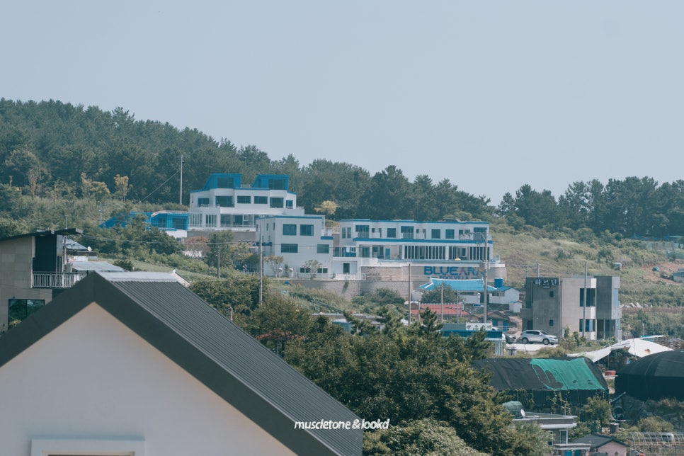 섬섬씨 이미지