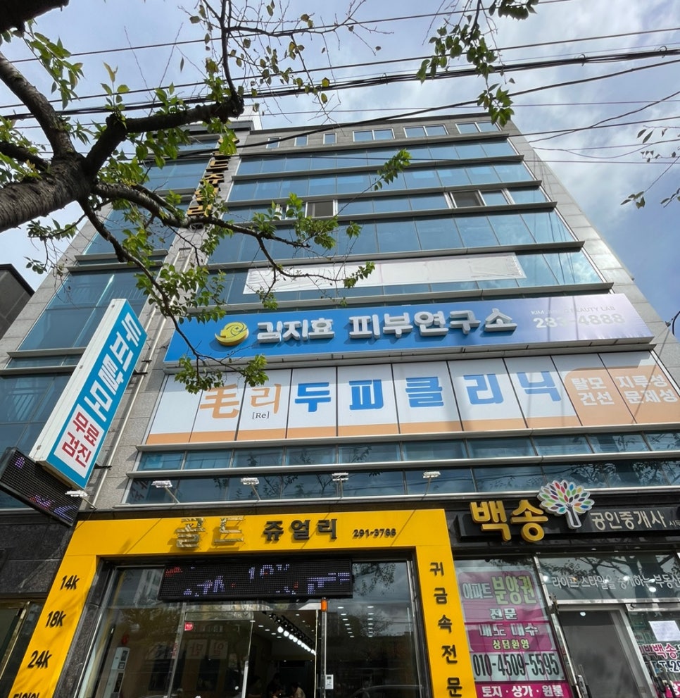 김지효피부연구소 이미지
