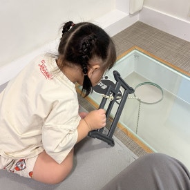 리틀비틀 청북점 이미지