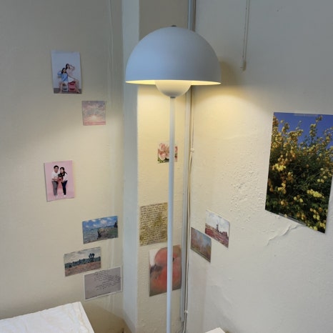 팔레트온성수 이미지