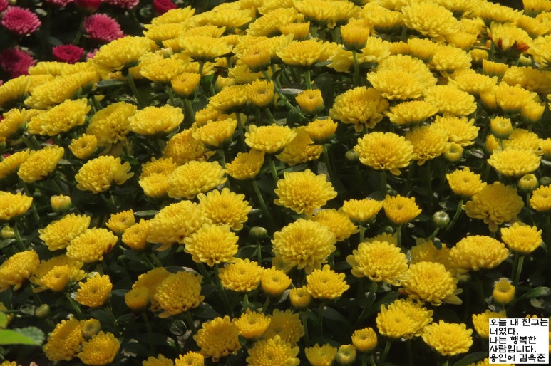 고마리(주) 이미지