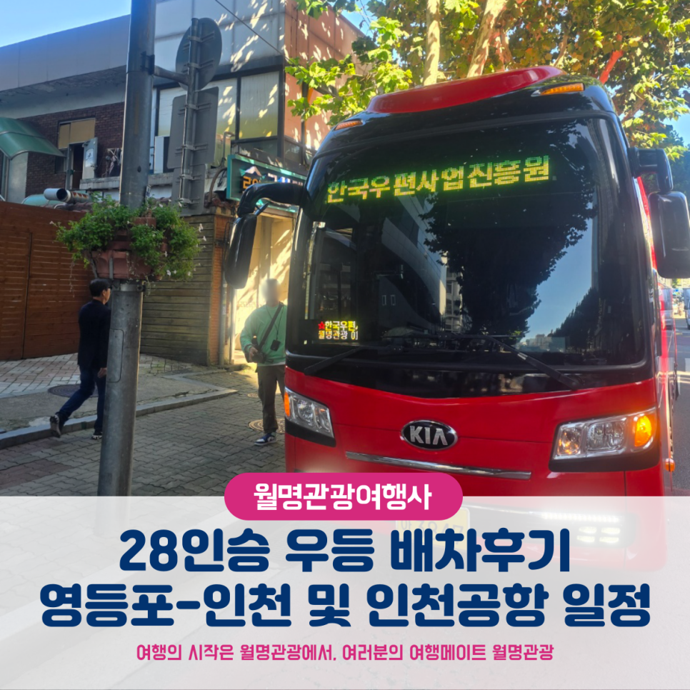월명관광여행사 이미지