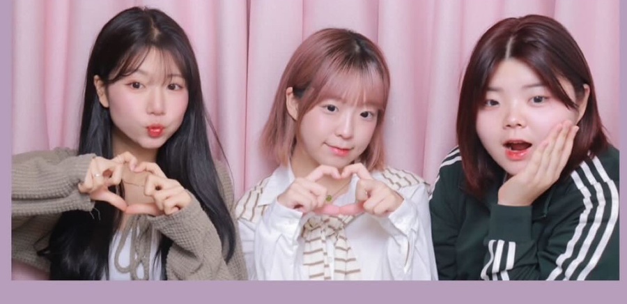 비비힙 이미지