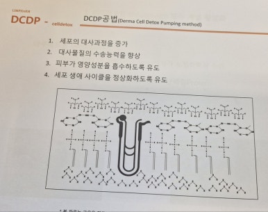 제이에스에스테틱 이미지