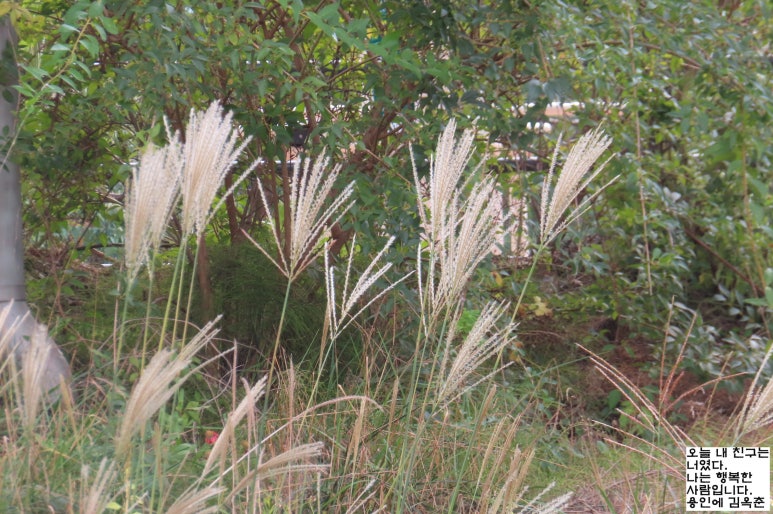 고마리(주) 이미지