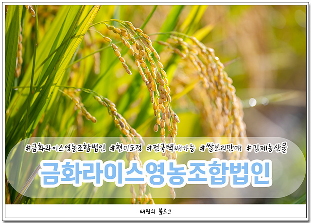 금화영농조합법인 이미지
