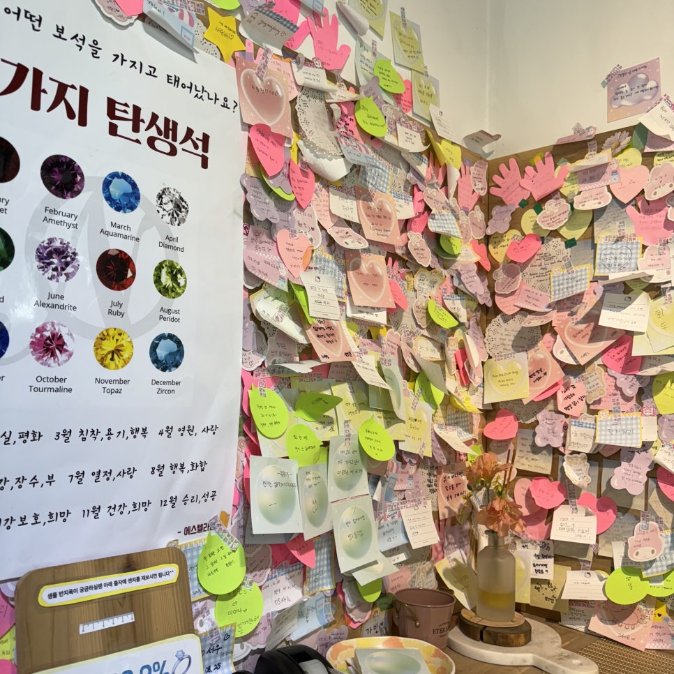 에스텔라엠 이미지