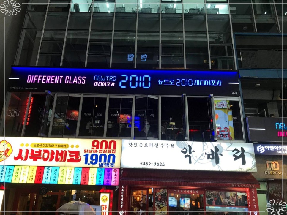 강남솔 이미지