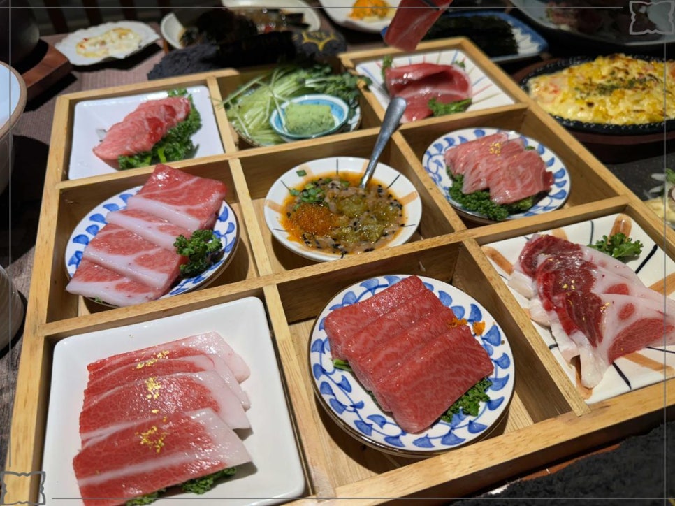 카메참치 이미지
