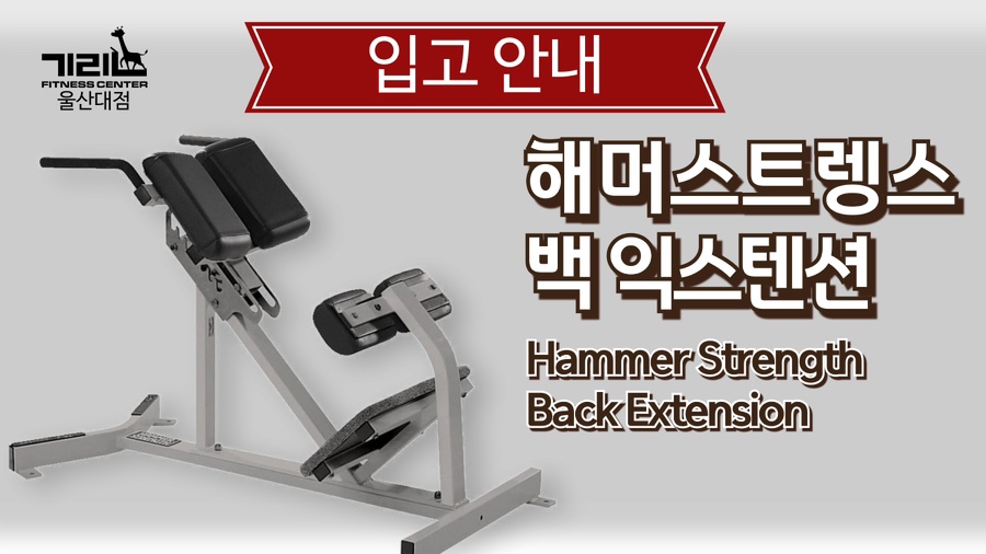 기린피트니스 이미지