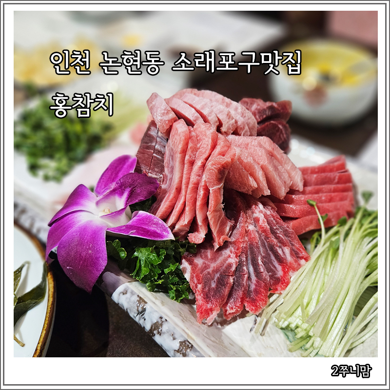 홍참치 이미지