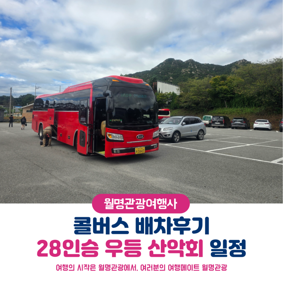 월명관광여행사 이미지