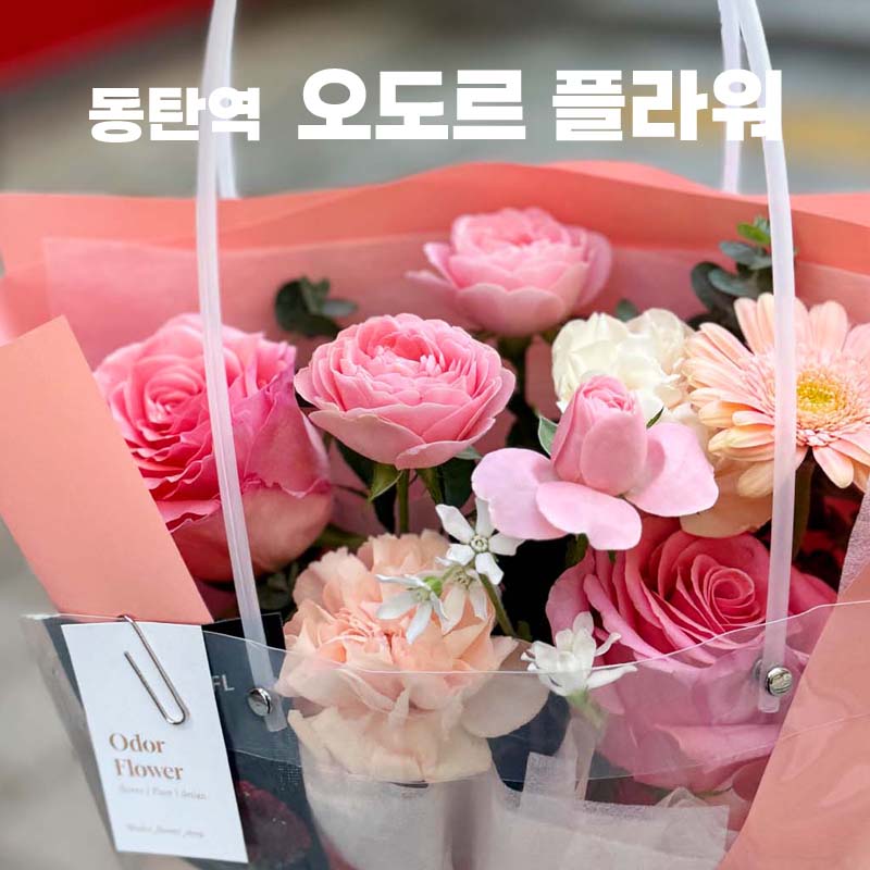 오도르플라워 이미지