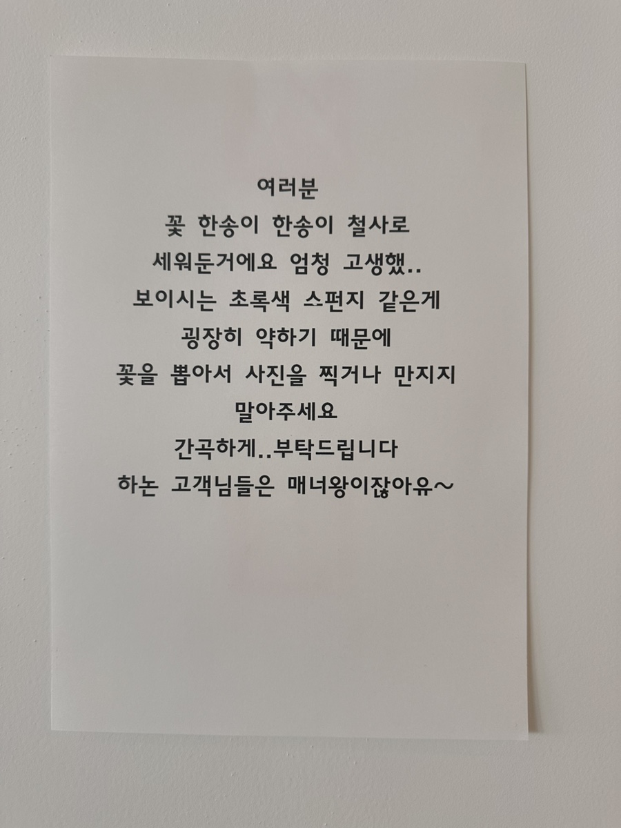 카페하논 이미지