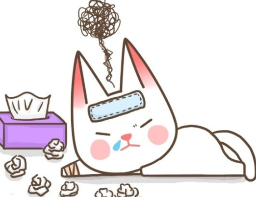 양지미용실 이미지